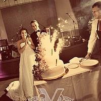 Nunta în stil de fuziune - agenția de nuntă «vip pentru tine»