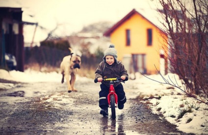 Top 10 rase de caini pentru familii cu copii