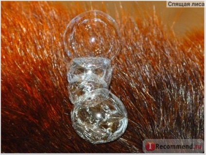 Bubble atinge bule de sapun care nu blocheaza - 