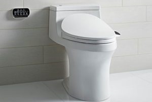 WC-tál bidett funkcióval, előnyökkel és ellenérvekkel