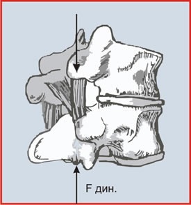 Instalare - Ormed - Profilaxie - Masaj cu role și extensie spinării