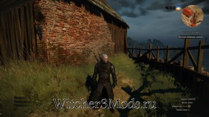 Witcher 3 Luptă Școală Lupă