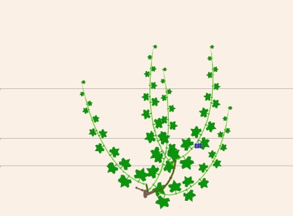 Formarea fără fâșie a mai multor furtunuri de struguri, viță de vie