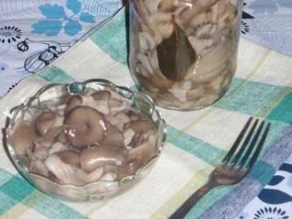 Ciuperci stridii proprietăți utile și rău, gătit la domiciliu - viața mea