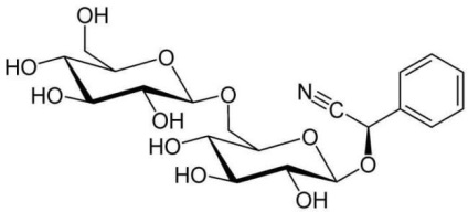 Vitamina b17 (amigdalină, lactică) descriere, proprietăți