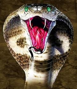 Într-un vis, șarpele interferă cu interpretarea