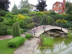 Etetés kölyökkutyákkal, kutya óvoda - Labrador