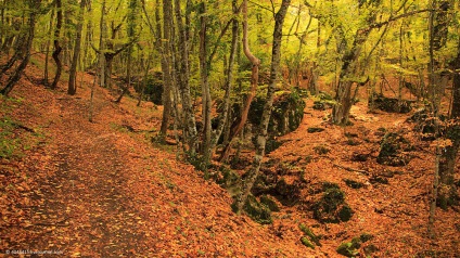 Templul soarelui în munții Crimeei - o creație uimitoare a naturii