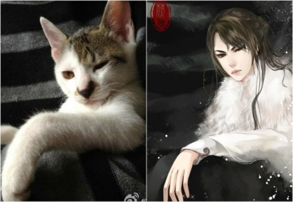 Artistul transformă cu pricepere pisicile domestice în personaje anime, umkra