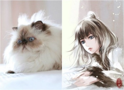 A művész ügyesen forgatja kedvtelésből tartott macskákat anime karakterekké, umkra