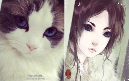 Artistul transformă cu pricepere pisicile domestice în personaje anime, umkra