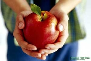 Az almák használják és károsítják az egészséget, a gyümölcs kalóriaértékét