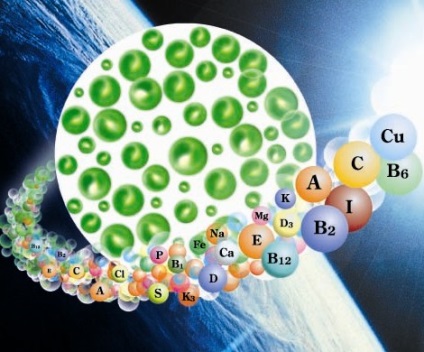 Chlorella vii este o sursă concentrată de sănătate și longevitate! Viața Chlorella