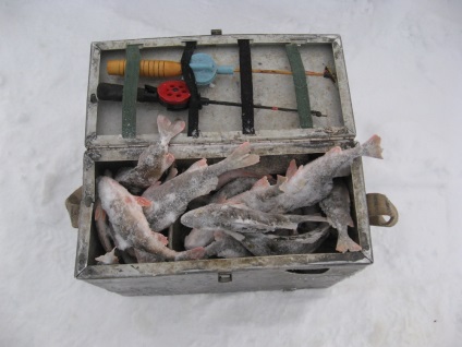 Pescuitul de iarnă pe lacul Kubensky