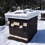 Iarbă albine la voia lor, serviciul veterinar al regiunii Vladimir