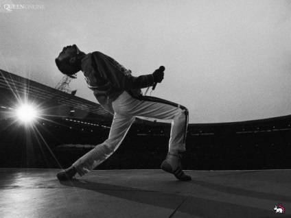 Expresii celebre freddie mercur