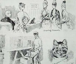 Acum 140 de ani a fost deschis primul spectacol de pisici