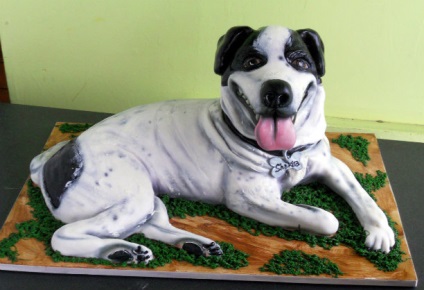 16 Prăjituri uimitoare pentru iubitorii de câini, povestiri scurte despre teckeluri lungi