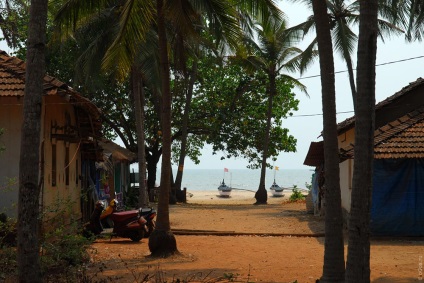 16 cele mai bune plaje din India, descriere detaliată și fotografii