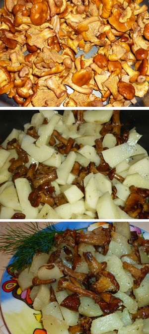 4 rețete simple de cartofi delicioși cu ciuperci