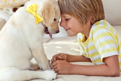 5 Motive pentru care un câine va face un copil fericit