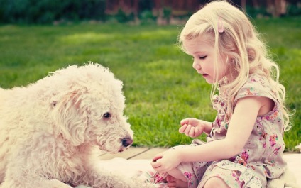 5 Motive pentru care un câine va face un copil fericit