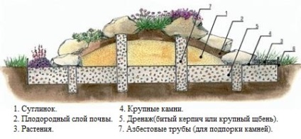 Dispozitiv de glisare alpin și îngrijire