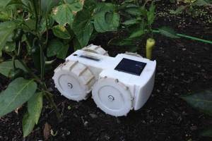 Americanii au creat un robot pentru buruieni în grădină