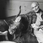 Balthus - rege al pisicilor - katoteka - cel mai interesant despre lumea pisicilor