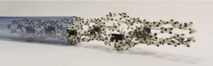 Robotul bionic se târăște ca un vierme