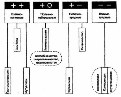 Factori biotici - fracturi și