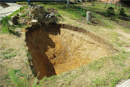 Buștar de cauciuc butil amalex - cabana de înflorire