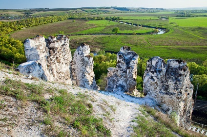 Pământul neagră central