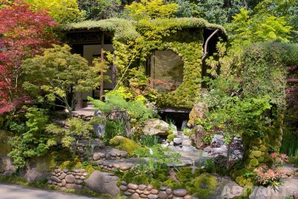 Chelsea Flower show 2014