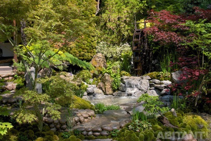 Chelsea Flower show 2014