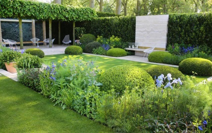 Chelsea Flower show 2014