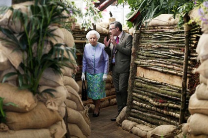 Chelsea Flower show 2014