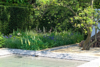 Chelsea Flower show 2014