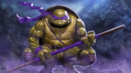 Turtle-ninja Donatello aspect, arme, caracter