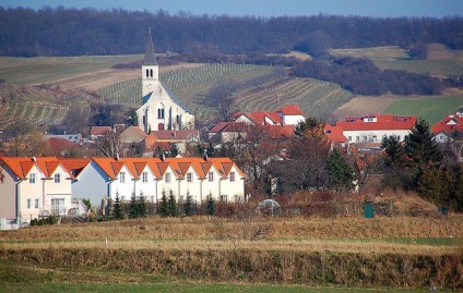 Ce să gustați bucătăria austriacă