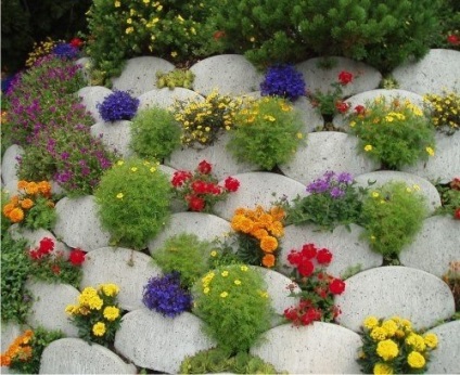 Poteci de flori pentru gradina cu propriile mâini - alegerea de fotografii de plante!
