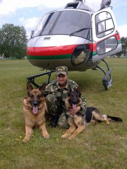 Fetișul-cnologul meu, câinii noștri înțeleg în limba germană, coboară din elicopter și păstrează criminali -