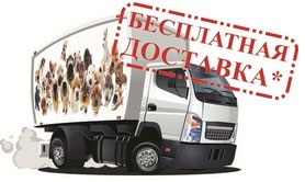 Dog chow - magazin online de animale de companie gratuit de transport maritim