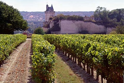 Valea llourei - regiunea viticolă a Franței, val de loire - vinificațiile din regiuni