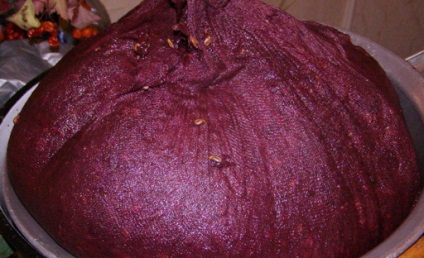 Boabe de fructe de casa din fructe de padure si prune, retete de caise si cirese cu poze