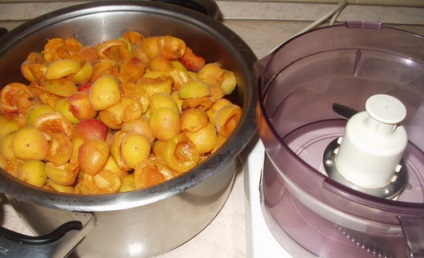 Boabe de fructe de casă din fructe de padure și prune, rețete de caise și cireșe de pasăre cu fotografie