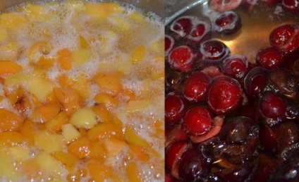 Boabe de fructe de casă din fructe de padure și prune, rețete de caise și cireșe de pasăre cu fotografie
