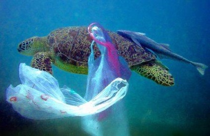 Informații ecologice privind pericolele pungilor de plastic