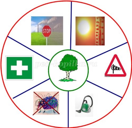 Proiect ecologic pentru grupul senior al grădiniței