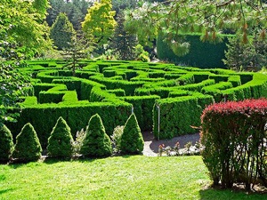 A kertben lévő táj labirintus elemei